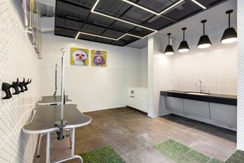 Pet Care Center at The Chase at Bryant Street, Washington, DC